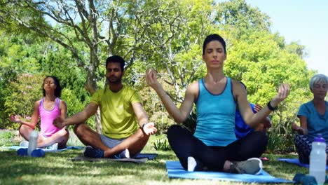 Gruppenmenschen,-Die-Yoga-Im-Park-4k-Durchführen