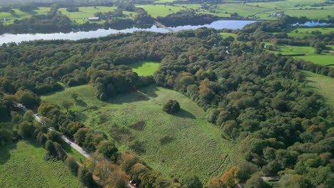 Treetops-and-fields-in-autumn,-fly-over-towards-reservoir-with-road-crossing-it