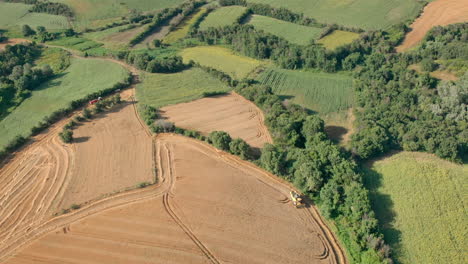 Drone-Shot-with-Top-View-of-Mowing-Machine,-Harvesting-on-Yellow-Wheat-Field-between-Agricultural-Farm-Lands