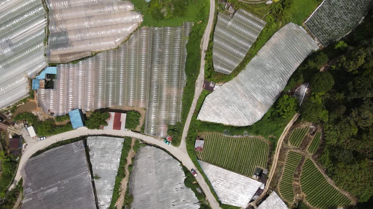 말레이시아의 카메론 하이랜드 지역 내의 브린창 지역의 일반 풍경