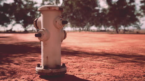 viejo hidrante de fuego oxidado en el desierto