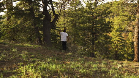 man walks through trees in sunny forest, medium shot