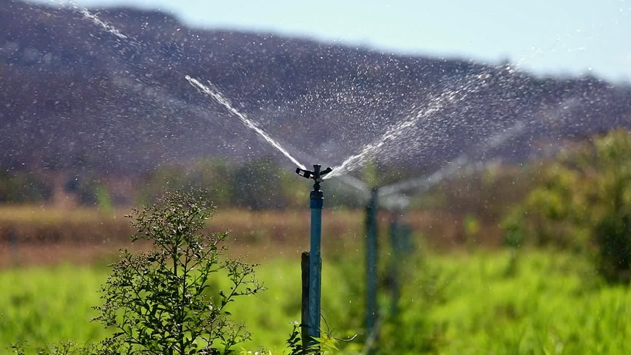 sistema de riego regando campos de hortalizas en una finca rural en brasil en cámara lenta