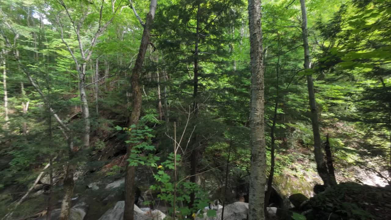 POV walking tour of Mount Sutton, Quebec