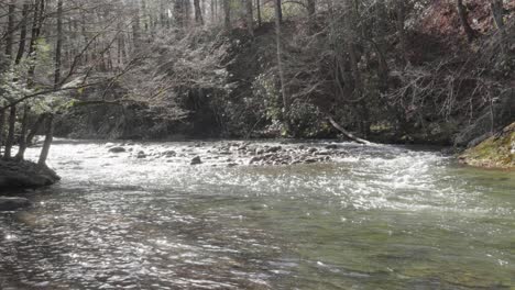 the west prong little pigeon river flowing in the great smoky mountains national park.