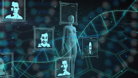 dna strand and human figures with facial recognition animation