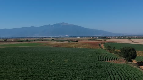 Aufschlussreiche-Drohnenaufnahme-Eines-Berges-Und-Felder-über-Einem-Grünen-Sommerfeld-In-Nordgriechenland