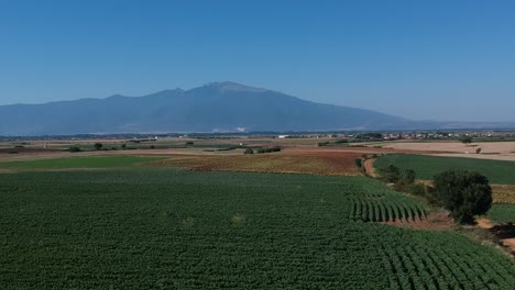 reveladora toma de drones de una montaña y campos sobre un campo verde de verano en el norte de grecia