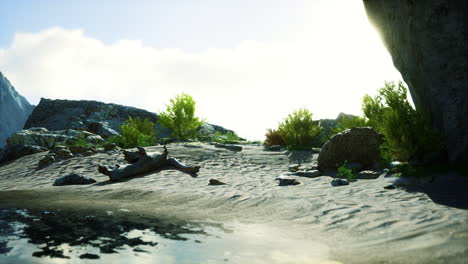 paisaje desértico sereno con un camino de arena