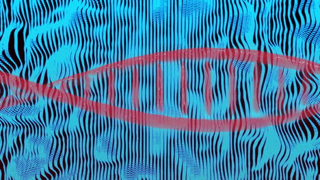 dna strand animation over blue wavy lines background