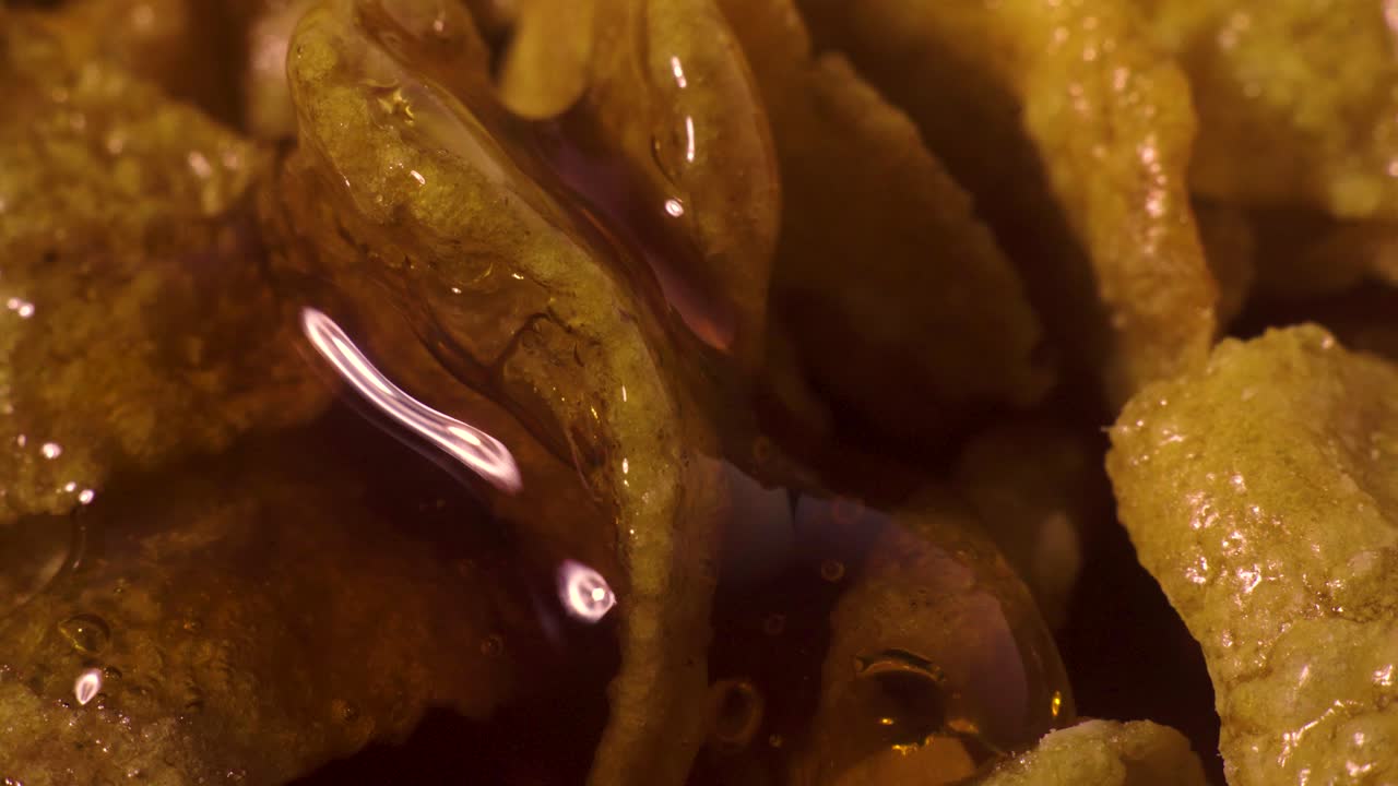 설탕을 입힌 콘플레이크 위를 천천히 흐르는 맛있는 꿀