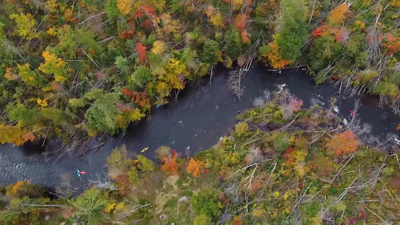 Kayakers paddle down river in autumn forest - direct overhead truck left