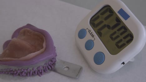 close-up of dental impression tray and timer
