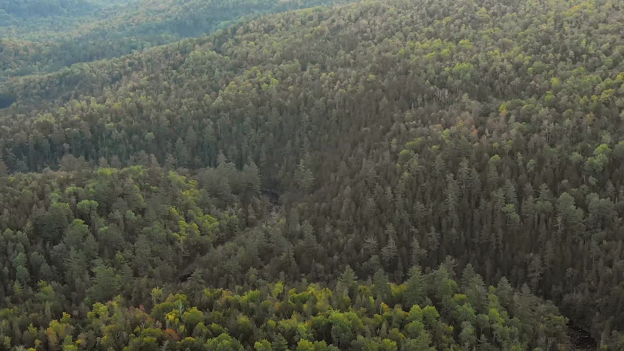 Aerial footage DOLLY ZOOM revealing the forested hills behind a winding river