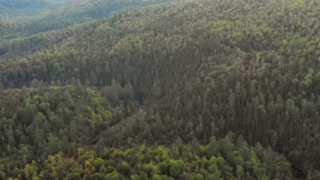 aerial footage dolly zoom revealing the forested hills behind a winding river