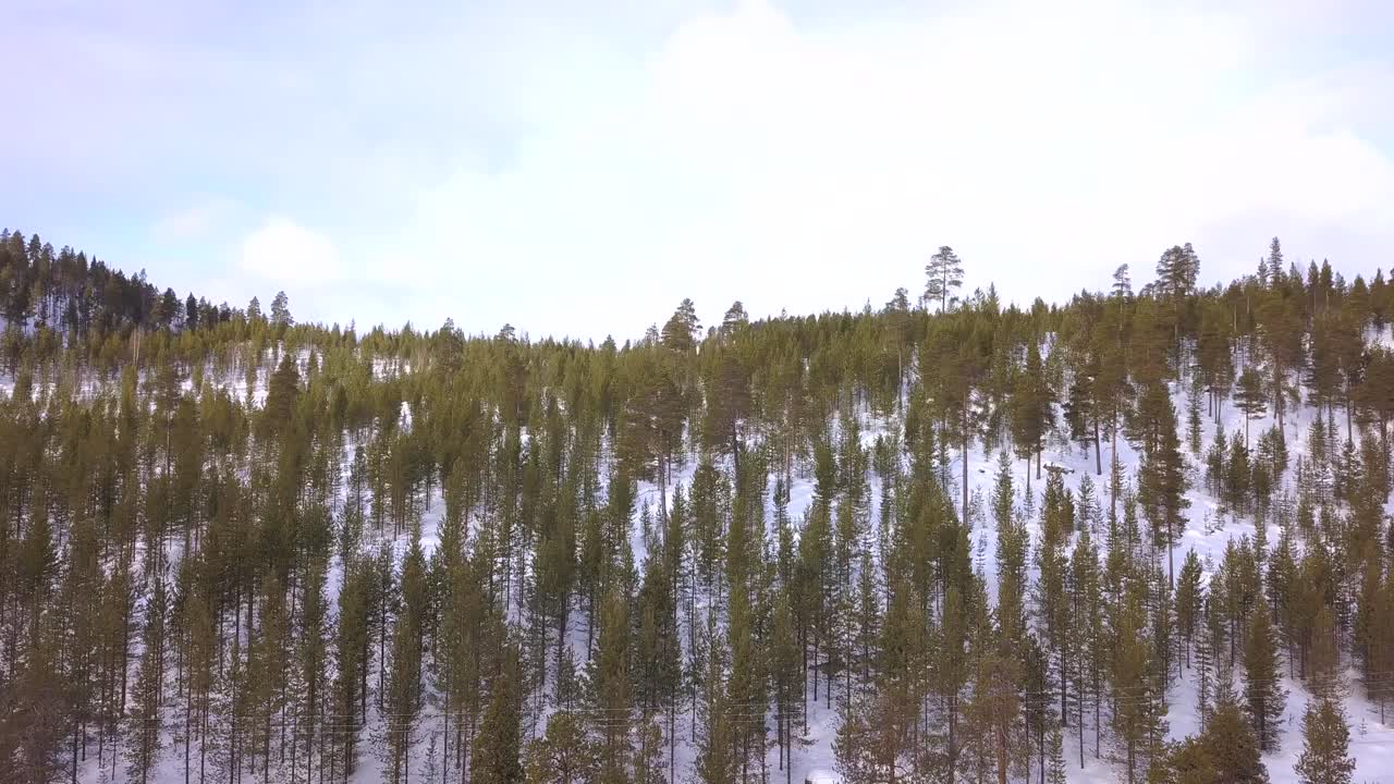 Ripresa aerea con drone che scende su una foresta artica