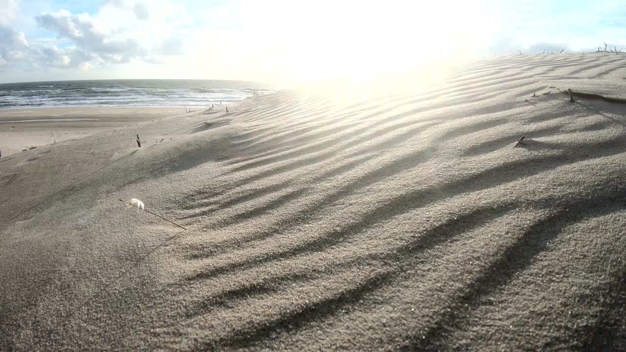 Sand dunes with dune grass in the storm of the North Sea, hiking dunes, dike protection, Sondervig, Jutland, Denmark, 4k