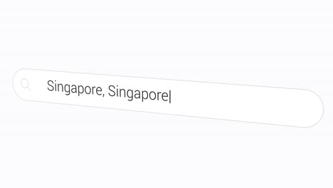 typing singapore in search box - known for having a world-class city airport with a waterfall