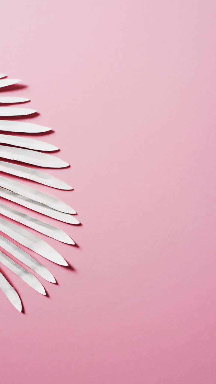 Vertical video of white leaves with copy space on pink background