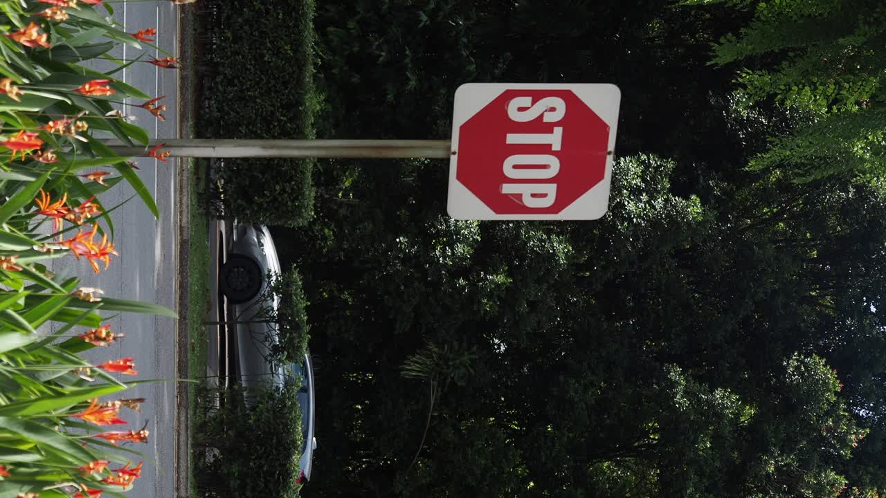 Stop sign on a roadside