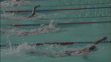 Las-Mujeres-Nadan-En-Una-Piscina-En-Una-Competencia.