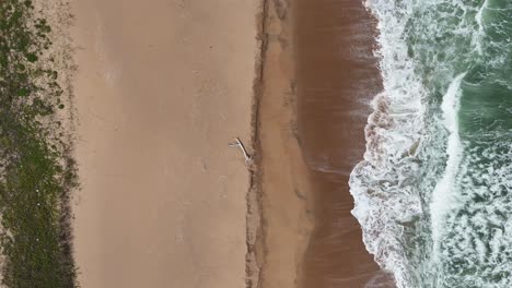 top down view of a beautiful south african beach, aerial drone shot of waves on the beach with driftwood