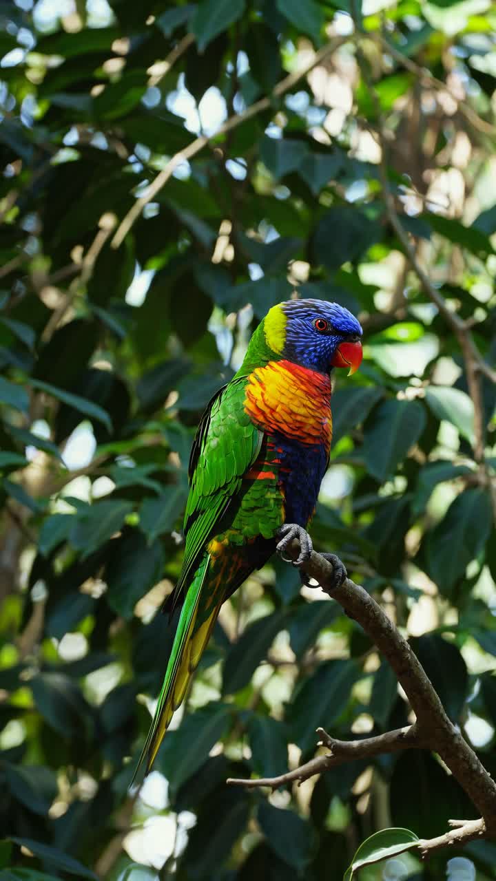 Vivid close-up of a colorful parrot perched on a branch, wings spread