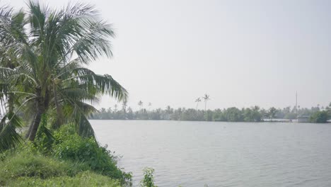 Toma-Panorámica-De-Izquierda-A-Derecha-Con-Pájaros-Volando-Sobre-Los-Remansos-De-Kerala-Cerca-De-Alleppey-A-Principios-Del-Año-Después-De-Las-Lluvias