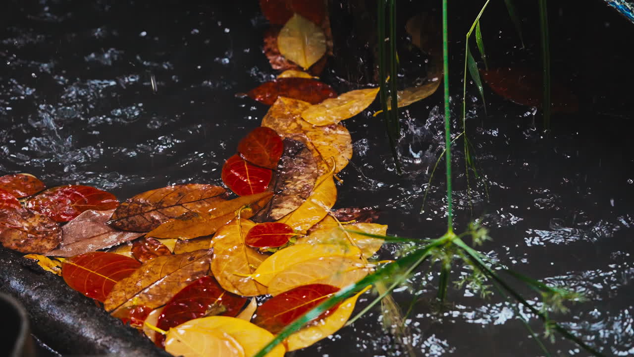 Una pozzanghera autunnale cristallina cattura la serenità della stagione, con foglie cadute che dipingono la sua superficie in una danza ipnotica.