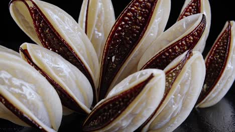 close-up of decorative plant pods