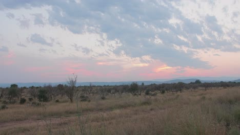 Sonnenuntergang-An-Der-Orangenbaumküste-Landet