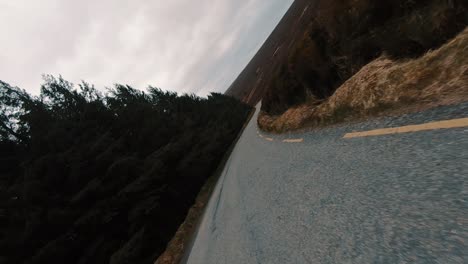 unique angle, pov shot as driving by a pine tree forest on a burned out landscape in ireland