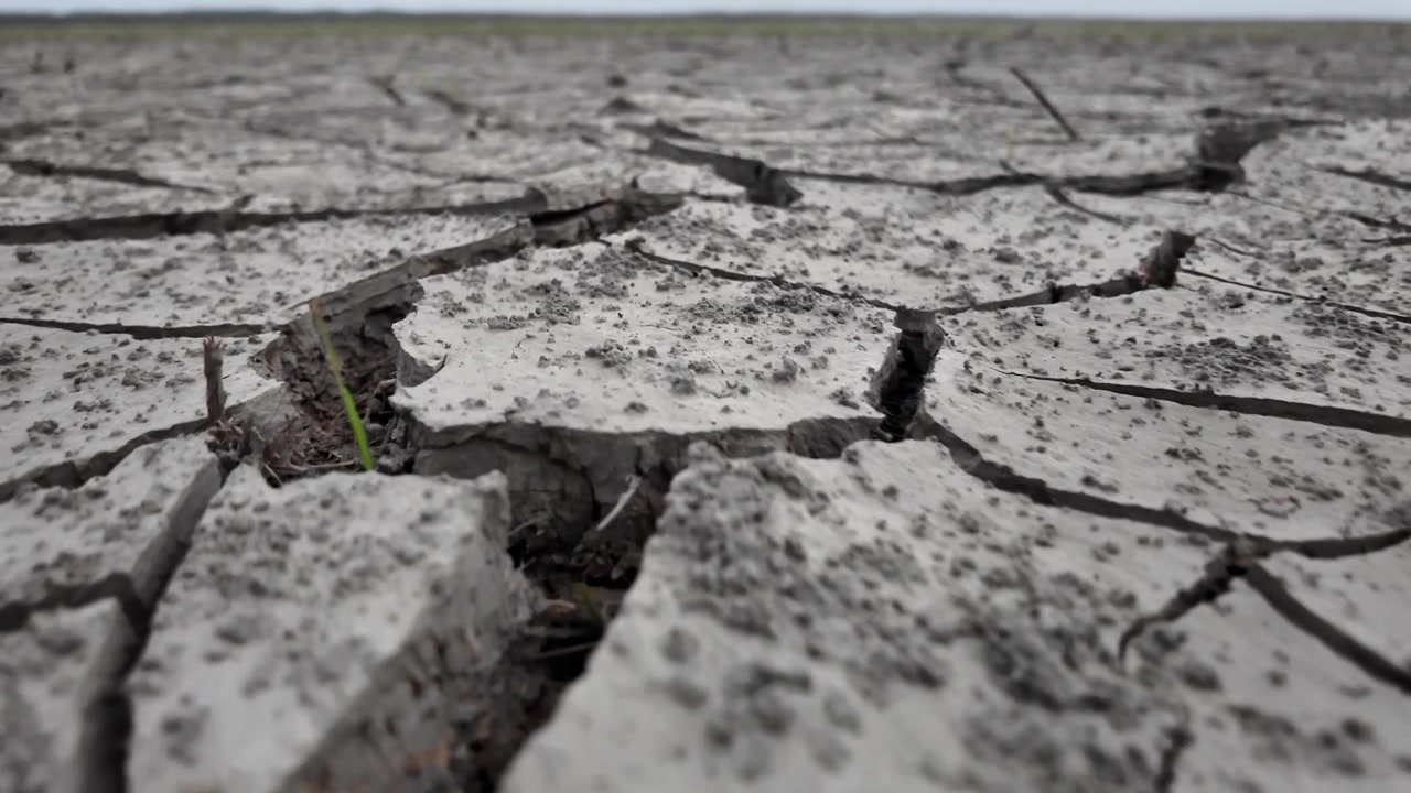 Condizioni di siccità estrema con terreno arido e screpolato in un campo agricolo.