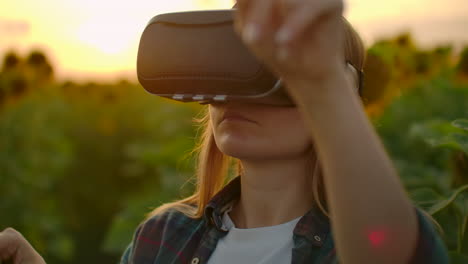 a woman uses vr glasses on the field with sunflowers in sunny day. these are modern technologies in summer evening.