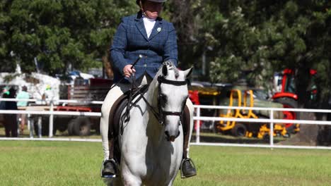 rider performing dressage with white horse