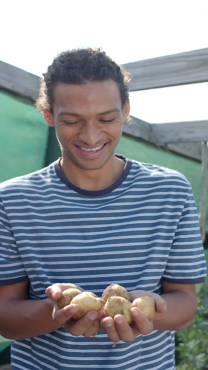 Vertical video of portrait of happy biracial man holding potatoes in garden, slow motion