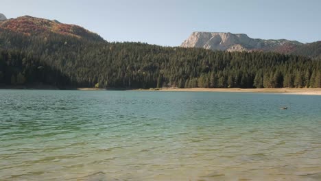 walking around black lake during sunset in durmitor national park in montenegro in the fall season