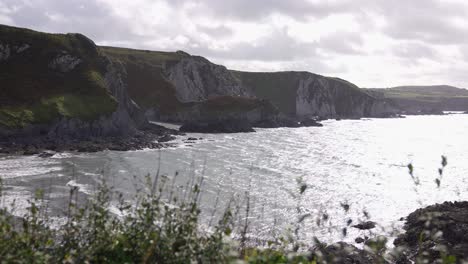 dinas head, dinas island, wales uk