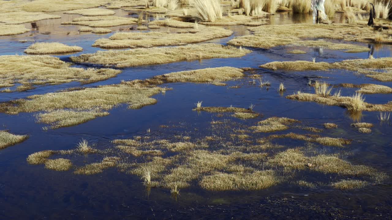Pristine desert landscape with flooded low muddy areas in the Sud Lipez region, untouched and vast under the clear sky