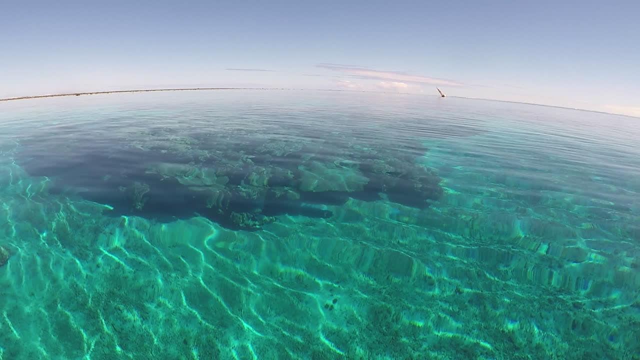 접근하는 항법등, 선명한 반사, 산호 머리, 핸드헬드