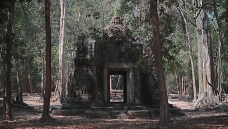 ancient temple ruins in angkor wat surrounded by forest