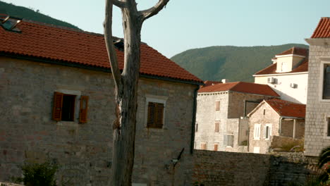 old town houses with dead tree and mountains