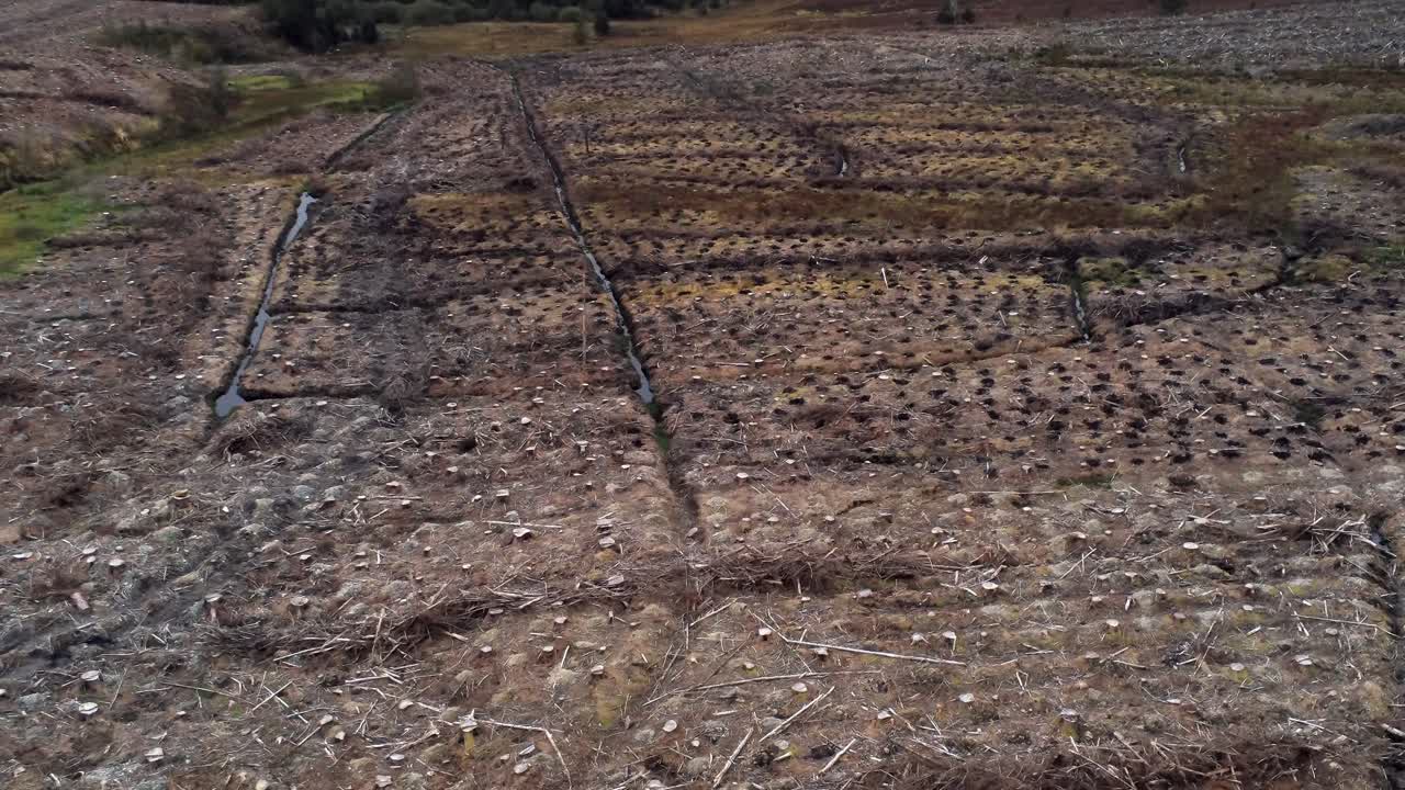 임업 목재 벌목 수확 삼림 벌채 공중 돌리 파괴 된 삼림 위의 왼쪽보기