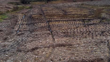 forestry timber logging harvesting deforestation aerial dolly left view above destroyed woodland