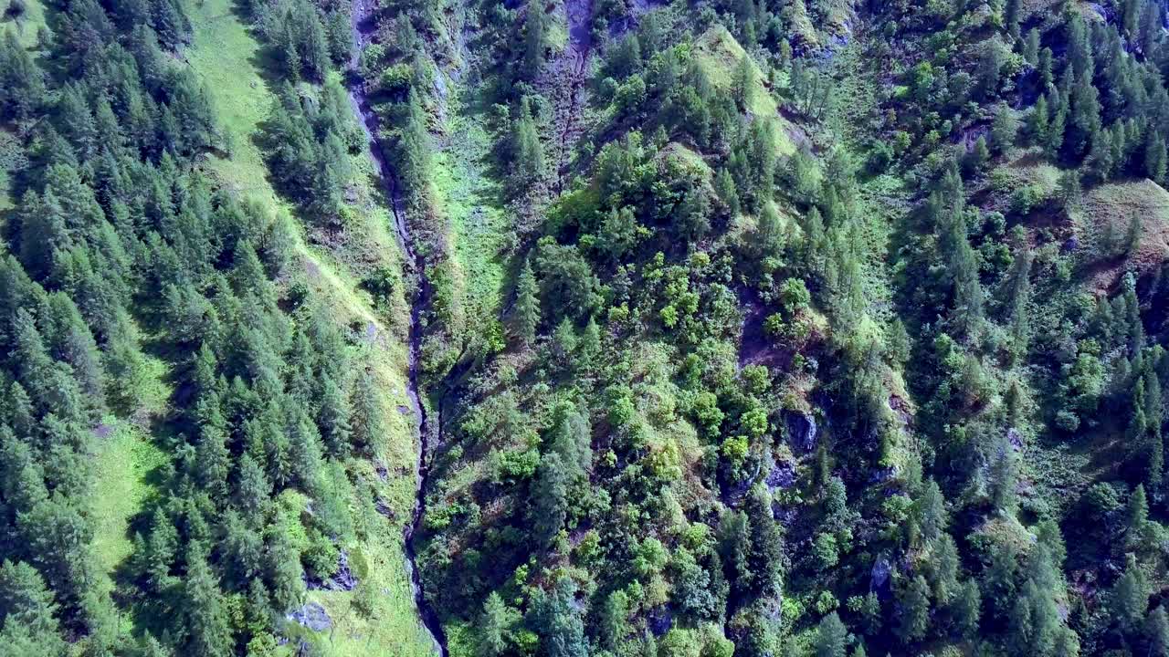 colinas del bosque de dolomías con corriente de agua vista en el medio, norte de italia, toma aérea de drones inclinados hacia abajo