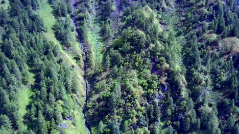 Dolomite-forest-hills-with-water-stream-seen-in-the-middle,-northern-Italy,-Aerial-drone-tilt-down-reveal-shot