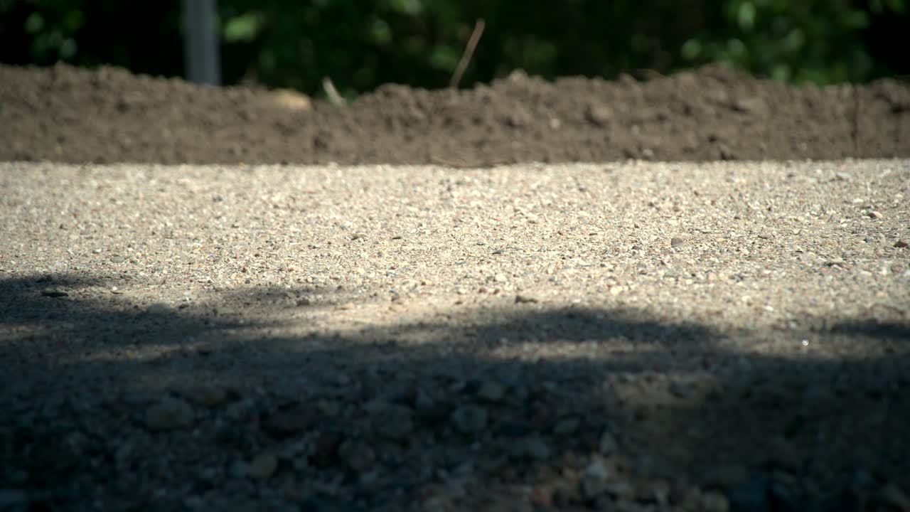 슬로우 모션: 숲속의 자전거