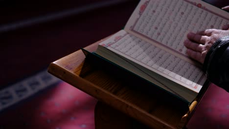 reading the quran in a sunny mosque