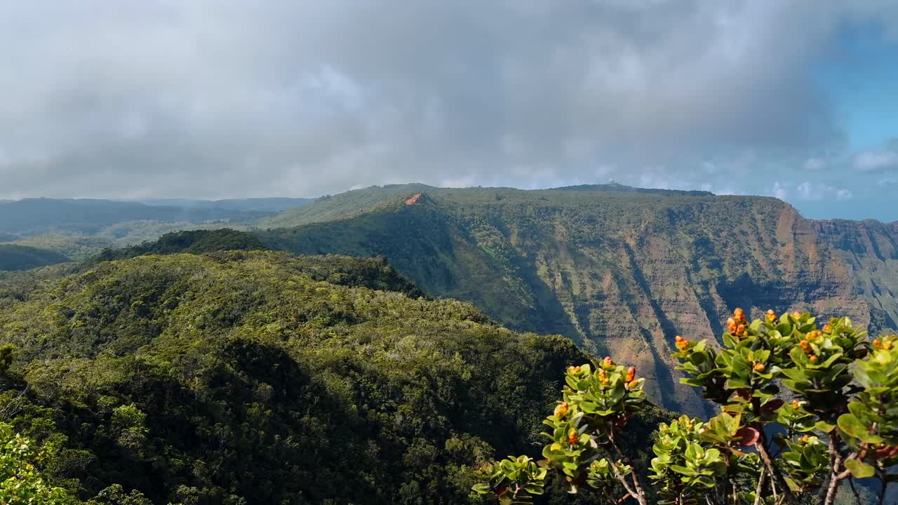 Soar above Kauai’s Na Pali Coast with breathtaking drone footage showcasing rugged cliffs, lush landscapes, and vibrant turquoise waters along Hawaii’s iconic shoreline.