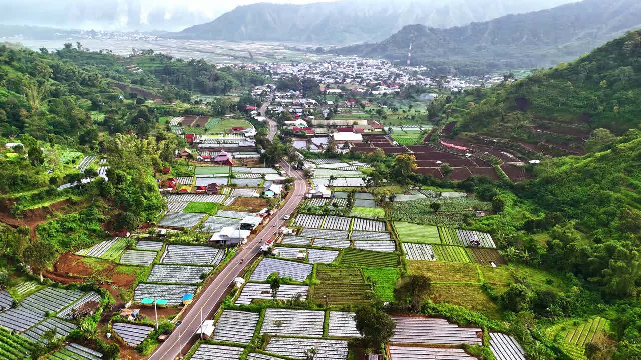Paisagem aérea de Bukit Selong com cultivo agrícola orgânico.